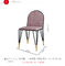 Moderne festes Holz-Stühle/Metallrahmen-Esszimmer-Stühle